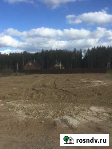 Участок СНТ, ДНП 12 сот. на продажу в Сосновом Бору Сосновый Бор - изображение 1