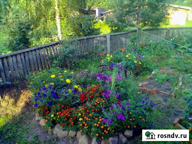 Дом 63 м² на участке 29 сот. на продажу в Никольске Вологодской области Никольск - изображение 1