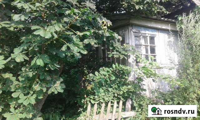 Дом 47 м² на участке 55 сот. на продажу в Золотухино Золотухино - изображение 1