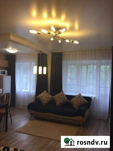 Квартира-студия, 41 м², 3/5 эт. в аренду посуточно в Перми Пермь - изображение 1