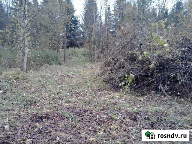 Участок СНТ, ДНП 6 сот. на продажу в Талдоме Талдом - изображение 1