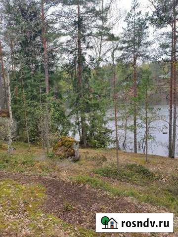 Участок ИЖС 20 сот. на продажу в Выборге Выборг - изображение 1