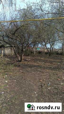 Участок ИЖС 35 сот. на продажу в Ельниках Ельники - изображение 1