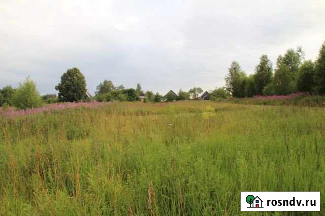 Участок ИЖС 16 сот. на продажу в Струнино Струнино - изображение 1