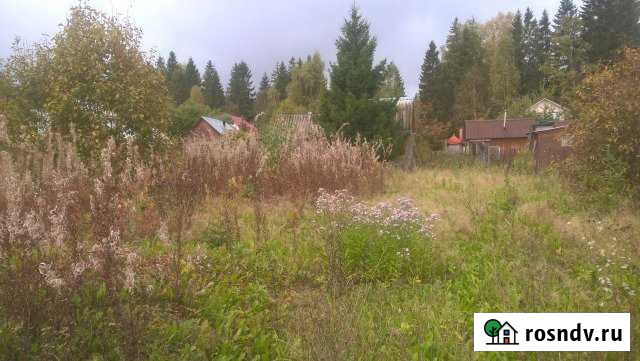 Участок СНТ, ДНП 8 сот. на продажу в Звенигороде Звенигород - изображение 1