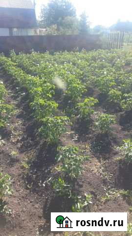 Участок СНТ, ДНП 6 сот. на продажу в Юрге Юрга - изображение 1