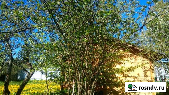 Дача 20 м² на участке 6 сот. на продажу в Новом Свете Ленинградской области Новый Свет - изображение 1