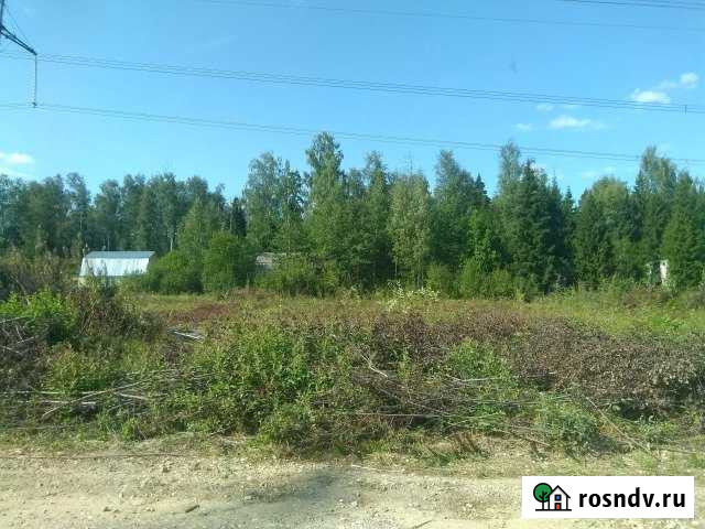 Участок СНТ, ДНП 20 сот. на продажу в Ивантеевке Московской области Ивантеевка - изображение 1