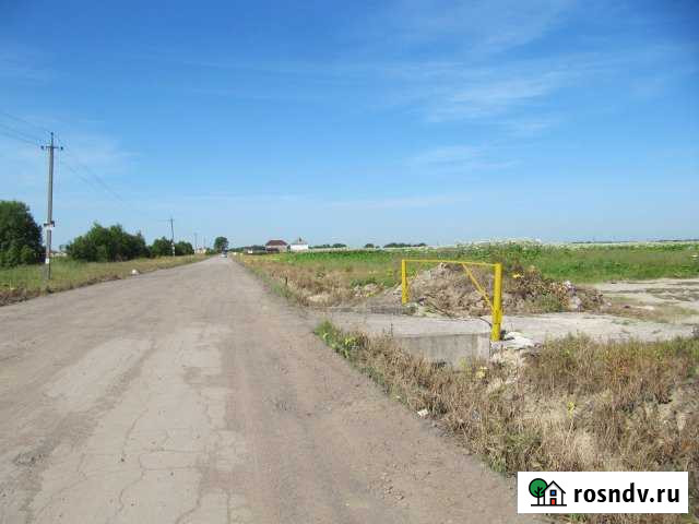 Участок ИЖС 568 сот. на продажу в Федоровском Ленинградской области Федоровское - изображение 1