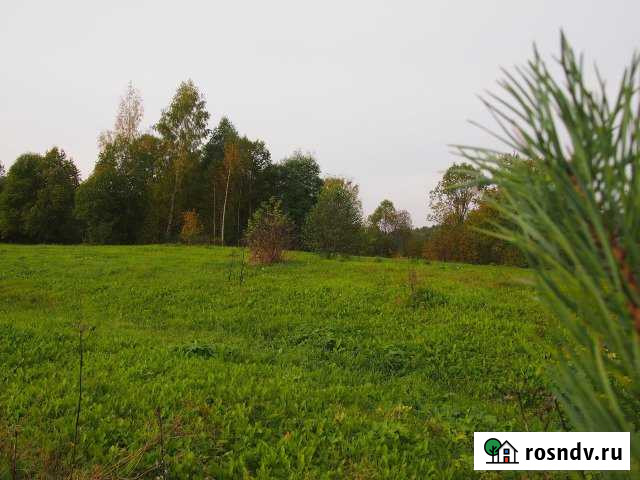 Участок ИЖС 175 сот. на продажу на Лугах Луга - изображение 1