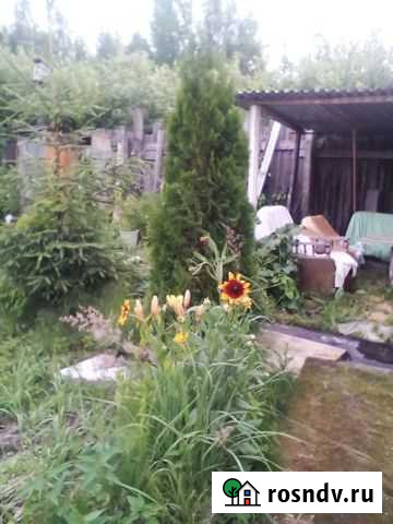 Дача 20 м² на участке 6 сот. на продажу в Заволжье Заволжье - изображение 1