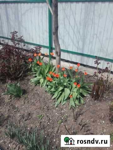 Участок ИЖС 9 сот. на продажу в Батайске Батайск - изображение 1