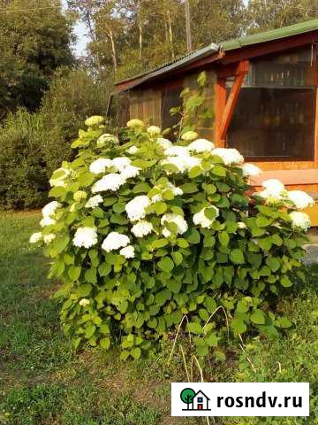 Дача 55 м² на участке 14 сот. на продажу в Новоалтайске Новоалтайск - изображение 1