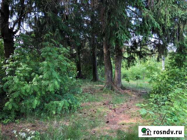 Участок ИЖС 10 сот. на продажу в Сиверском Сиверский - изображение 1