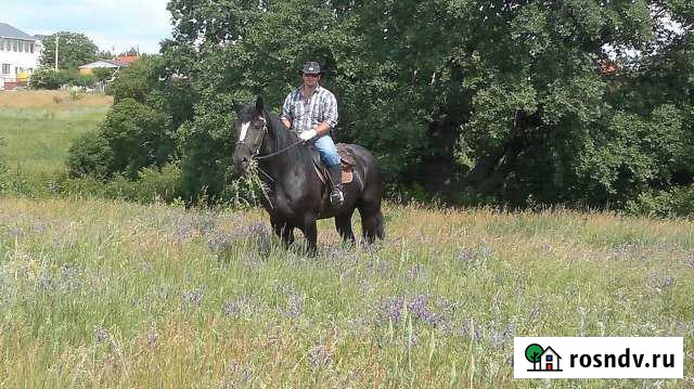 Участок СНТ, ДНП 1000 сот. на продажу в Белгороде Белгород - изображение 1