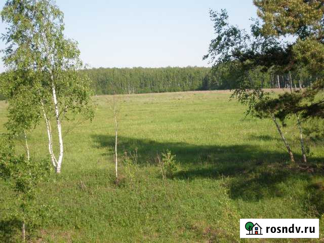 Участок СНТ, ДНП 2100 сот. на продажу в Алексине Алексин - изображение 1