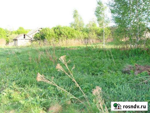 Участок СНТ, ДНП 25 сот. на продажу в Дубках Ярославской области Дубки - изображение 1