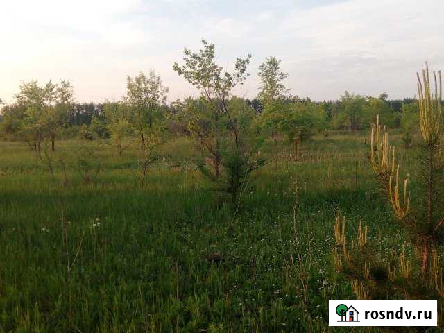 Участок СНТ, ДНП 1296 сот. на продажу в Новой Усмани Новая Усмань - изображение 1