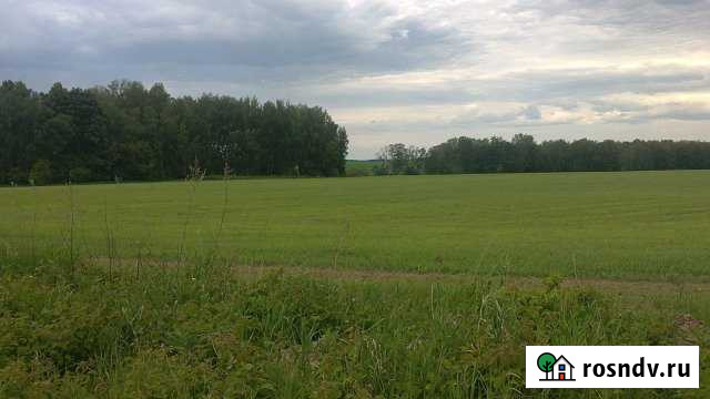 Участок СНТ, ДНП 10 сот. на продажу в Озёрах Озёры - изображение 1