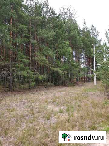 Участок ИЖС 10 сот. на продажу в Покрове Покров - изображение 1