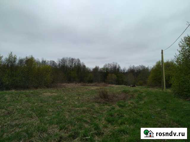 Участок ИЖС 25 сот. на продажу в Выборге Выборг - изображение 1