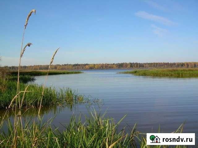 Участок СНТ, ДНП 14 сот. на продажу в Кукуштане Кукуштан - изображение 1