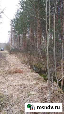 Участок СНТ, ДНП 9 сот. на продажу в Толмачево Ленинградской области Толмачево - изображение 1