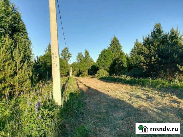 Участок СНТ, ДНП 100 сот. на продажу в Гдове Гдов - изображение 1