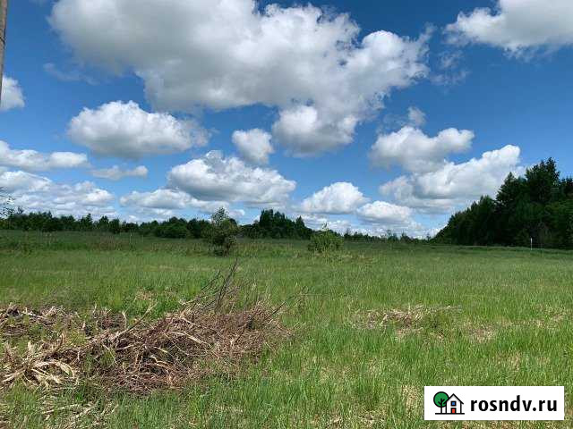 Участок СНТ, ДНП 1240 сот. на продажу в Оленино Оленино - изображение 1