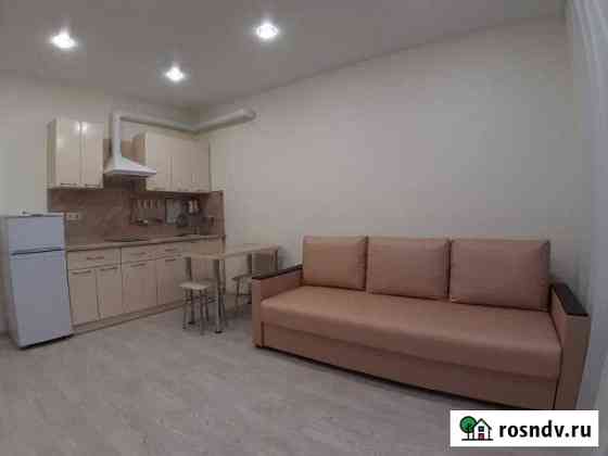 Квартира-студия, 28 м², 9/10 эт. в аренду на длительный срок в Пензе Пенза