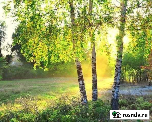 Участок СНТ, ДНП 10 сот. на продажу в Икше Икша - изображение 1