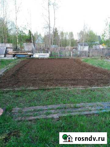 Дача 30 м² на участке 10 сот. на продажу в Печоре Печора - изображение 1