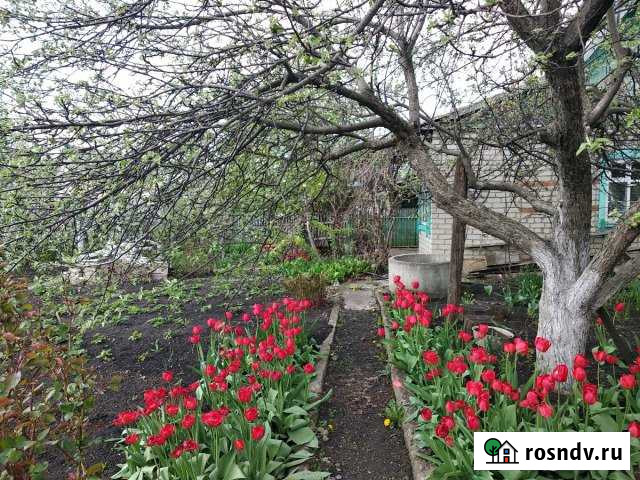 Дача 20 м² на участке 10 сот. на продажу в Россоши Россошь - изображение 1