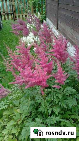 Дача 55 м² на участке 5 сот. на продажу в Семенове Семенов - изображение 1