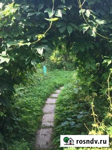 Дача 35 м² на участке 4 сот. на продажу в Малаховке Малаховка - изображение 1