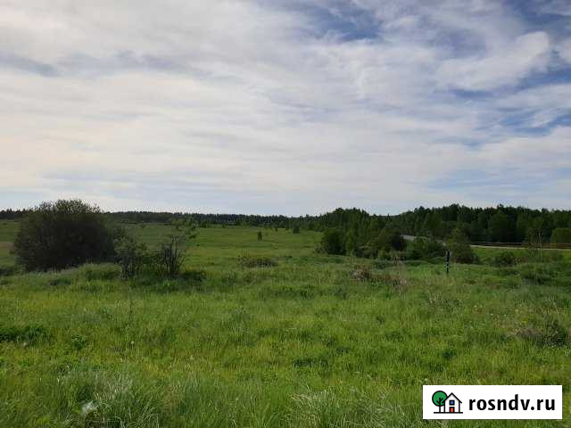 Участок ИЖС 834 сот. на продажу в Николо-Павловском Николо-Павловское - изображение 1