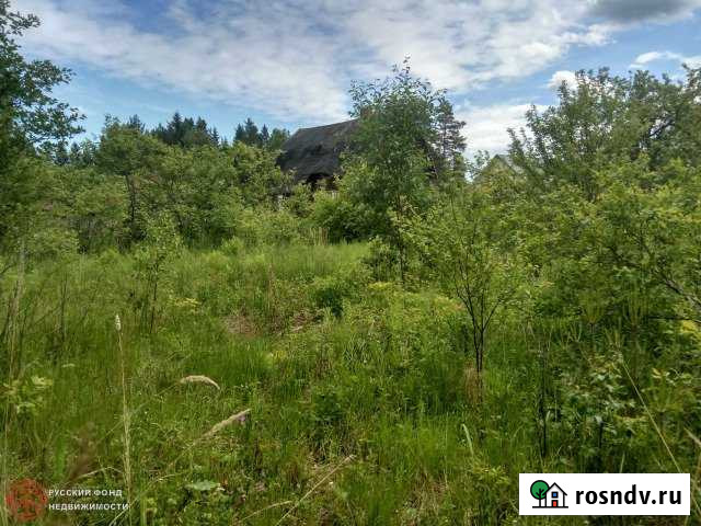 Участок ИЖС 13 сот. на продажу в Вырице Вырица - изображение 1