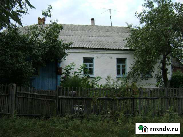 Дом 80 м² на участке 40 сот. на продажу в Панино Панино - изображение 1