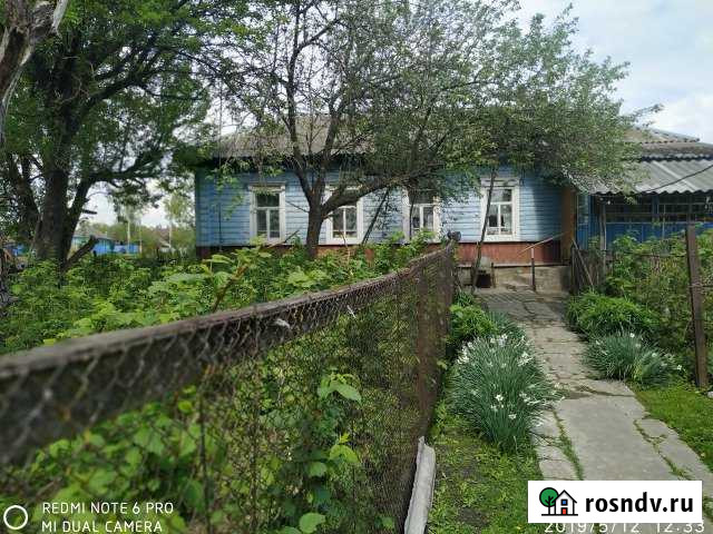 Дом 50 м² на участке 25 сот. на продажу в Погаре Погар - изображение 1