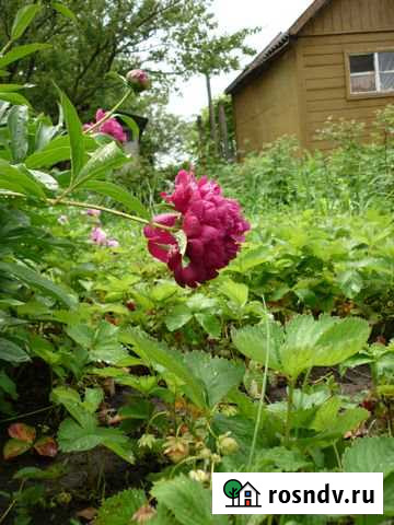 Участок СНТ, ДНП 14 сот. на продажу в Батайске Батайск - изображение 1