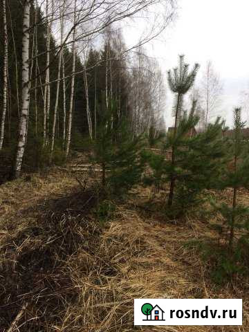 Участок СНТ, ДНП 20 сот. на продажу в Некрасовском Ярославской области Некрасовское - изображение 1