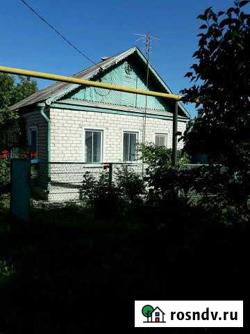 Дом 50 м² на участке 19 сот. на продажу в Соколовском Соколовское - изображение 1