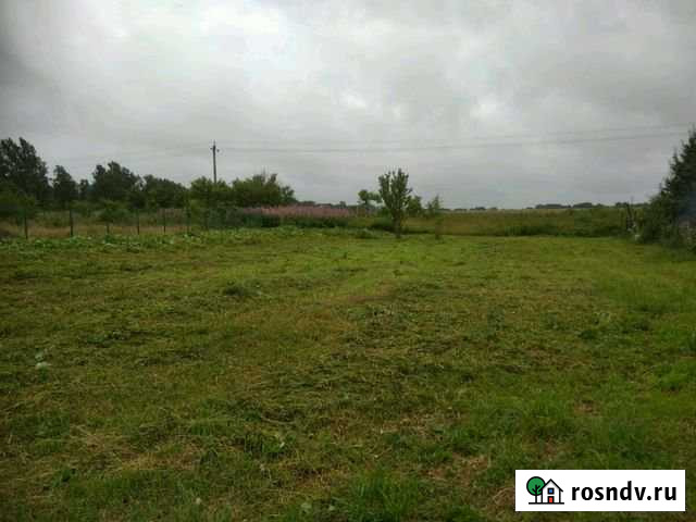 Участок СНТ, ДНП 9 сот. на продажу в Донском Калининградской области Донское - изображение 1