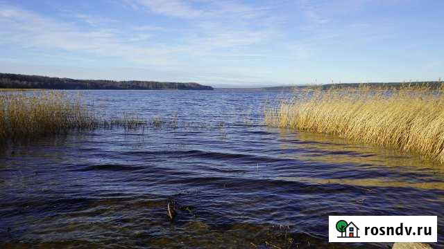 Участок СНТ, ДНП 9 сот. на продажу в Сосново Сосново - изображение 1