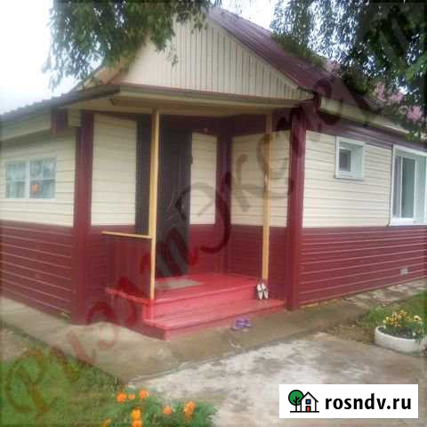 Дом 48 м² на участке 12 сот. на продажу в Тамбовке Амурской области Тамбовка - изображение 1