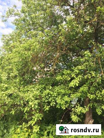 Дом 44 м² на участке 14 сот. на продажу в Спирово Спирово - изображение 1