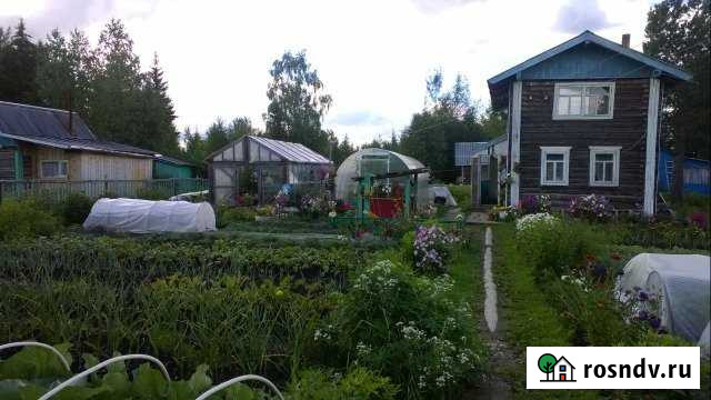 Дача 34 м² на участке 9 сот. на продажу в Ухте Ухта - изображение 1