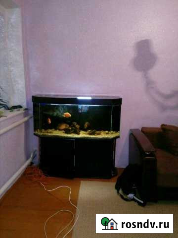 2-комнатная квартира, 48 м², 2/5 эт. на продажу в Городовиковске Городовиковск - изображение 1