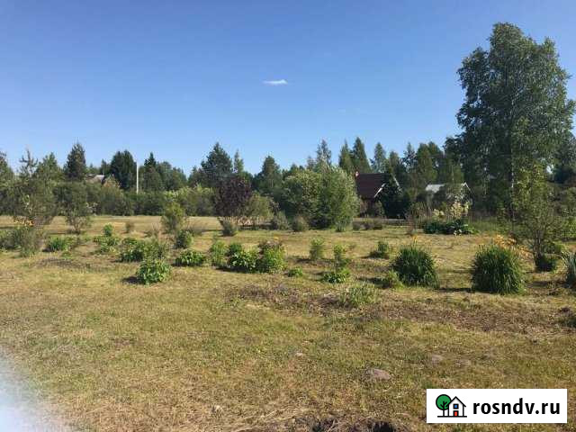 Участок СНТ, ДНП 42 сот. на продажу в Решетниково Решетниково - изображение 1