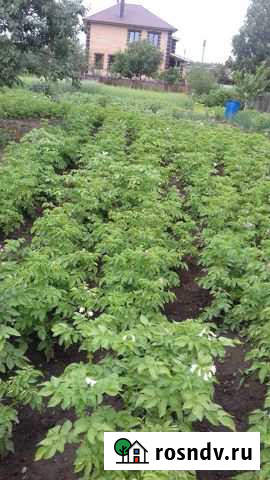 Участок ИЖС 13 сот. на продажу в Николо-Березовке Николо-Березовка - изображение 1